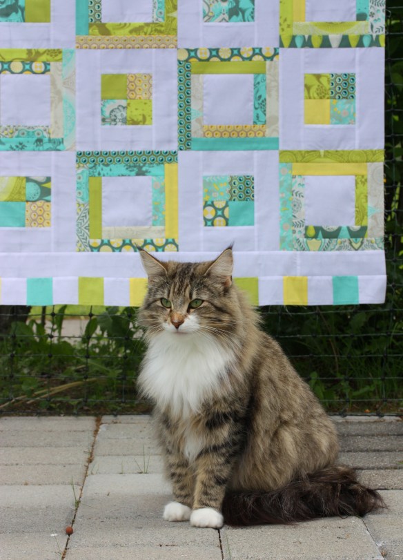 CH. Taini-Posala av Andelas*CH